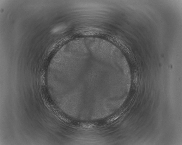 X0000083990547200703161625