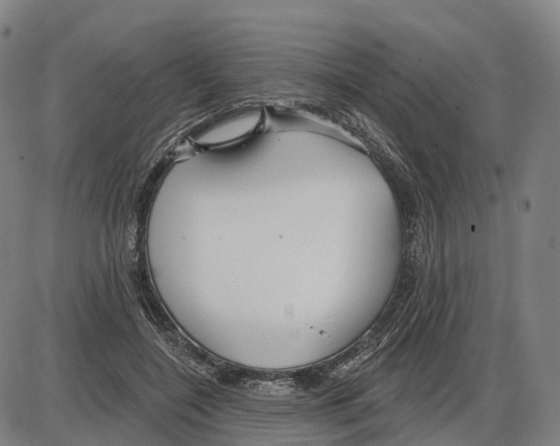 X0000083990548200703161625