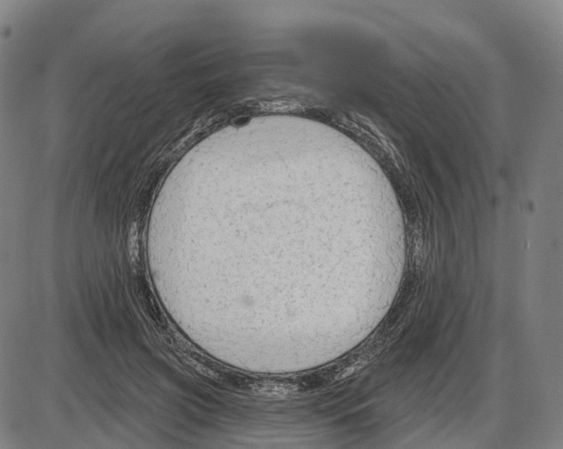 X0000083990549200703161625