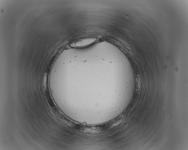 X0000083990550200703161625