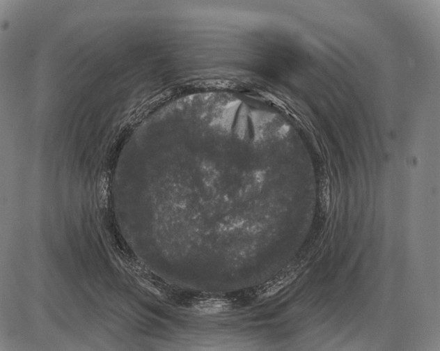 X0000083990551200703161625