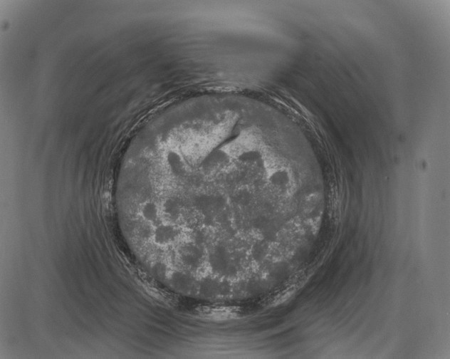 X0000083990553200703161625