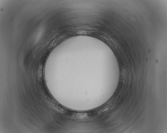 X0000083990554200703161625