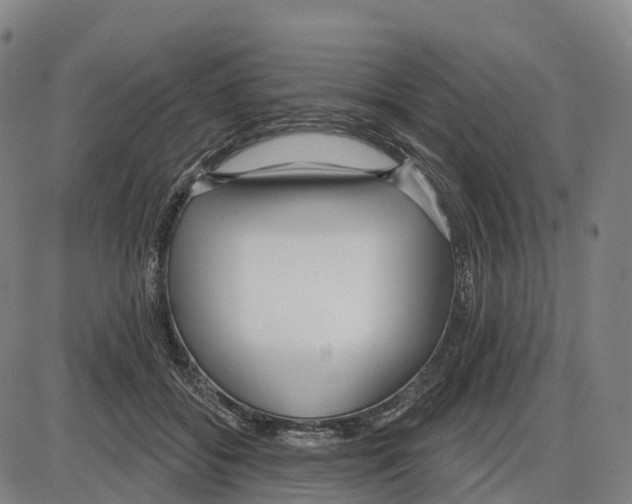 X0000083990556200703161625