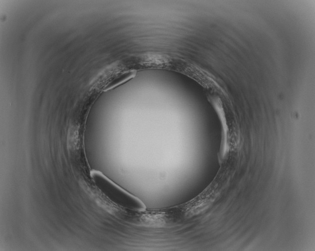 X0000083990560200703161626