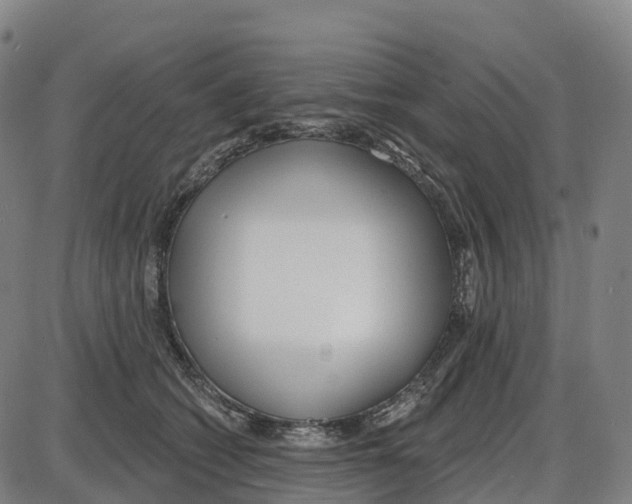 X0000083990562200703161626