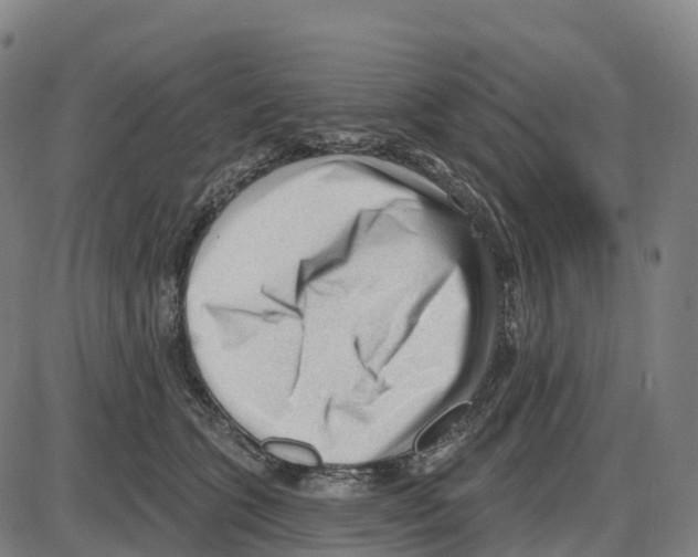 X0000083990563200703161626