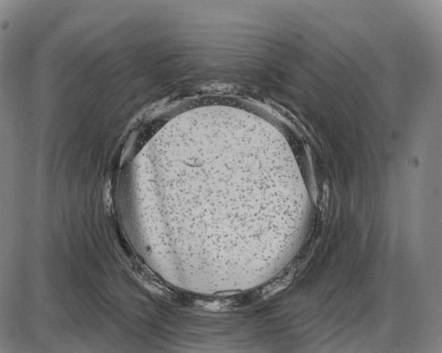 X0000083990564200703161626