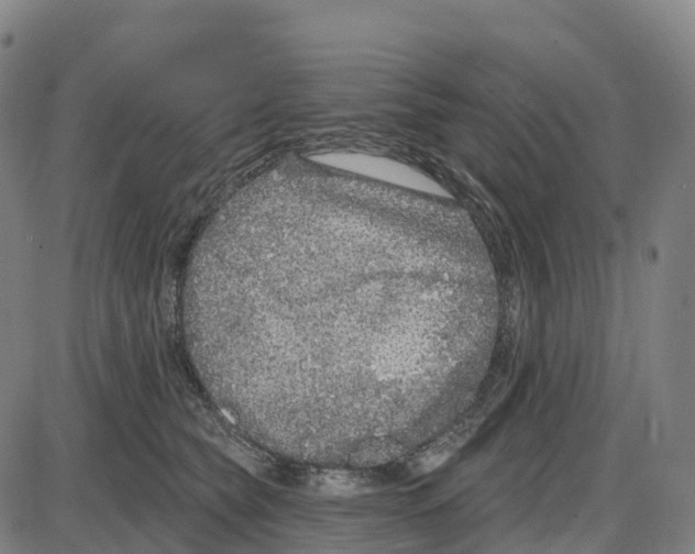 X0000083990565200703161626