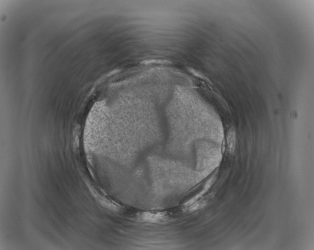 X0000083990570200703161626