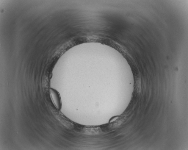 X0000083990571200703161626