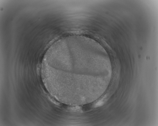 X0000083990576200703161626