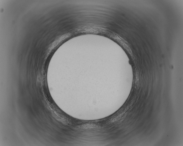 X0000083990578200703161625