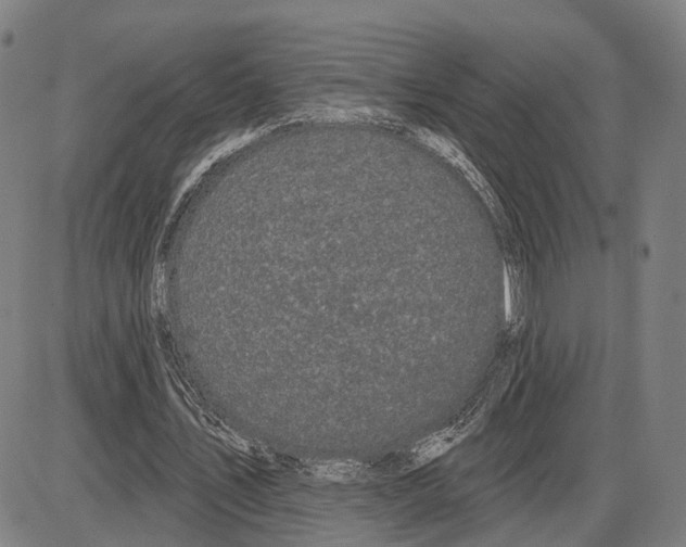 X0000083990579200703161625