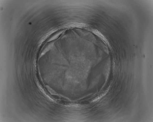 X0000083990581200703161625