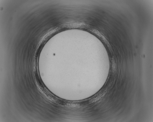 X0000083990582200703161625