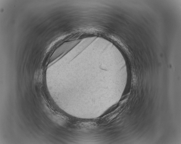 X0000083990583200703161625