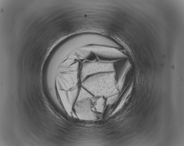 X0000083990584200703161625