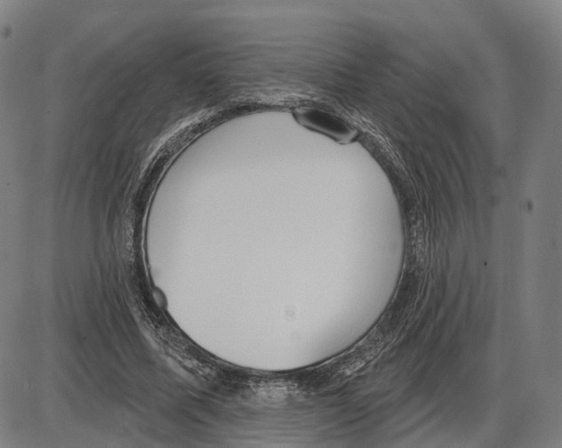 X0000083990587200703161625