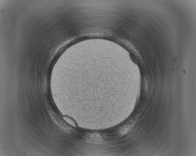 X0000083990588200703161625