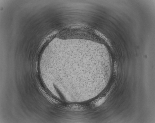 X0000083990589200703161625