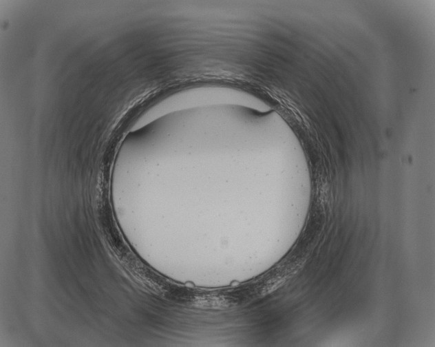 X0000083990591200703161625