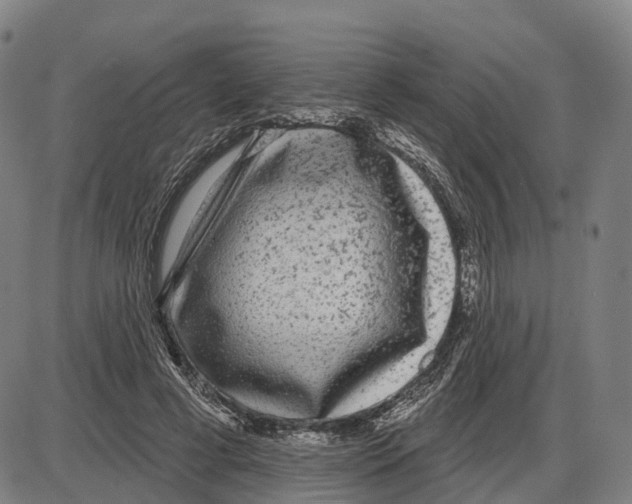 X0000083990593200703161625