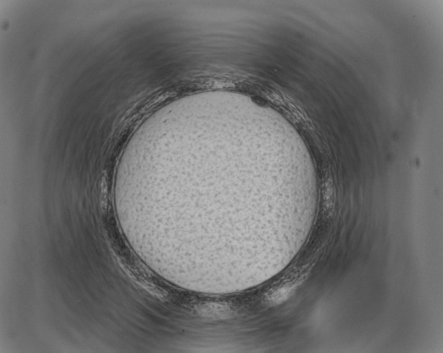 X0000083990594200703161625