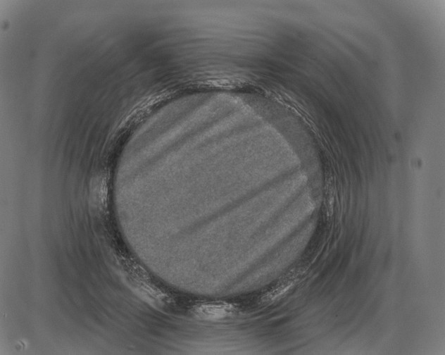 X0000083990595200703161625