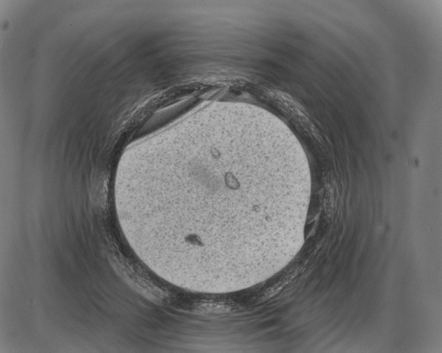 X0000083990596200703161625