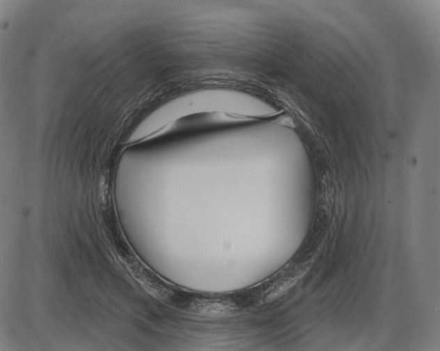 X0000083990597200703161625