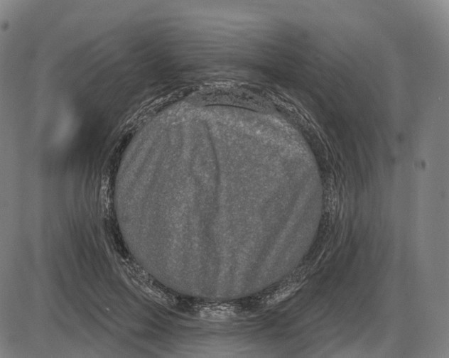 X0000083990599200703161625