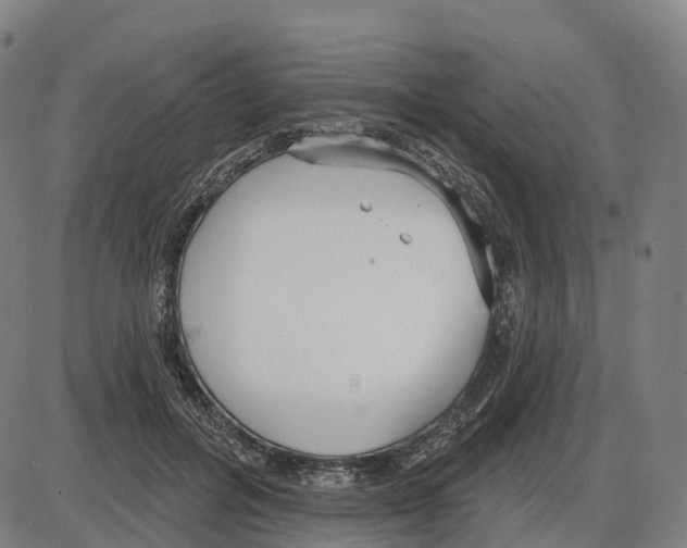 X0000083990600200703161625