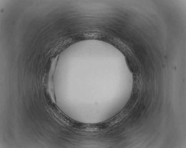 X0000083990601200703161625