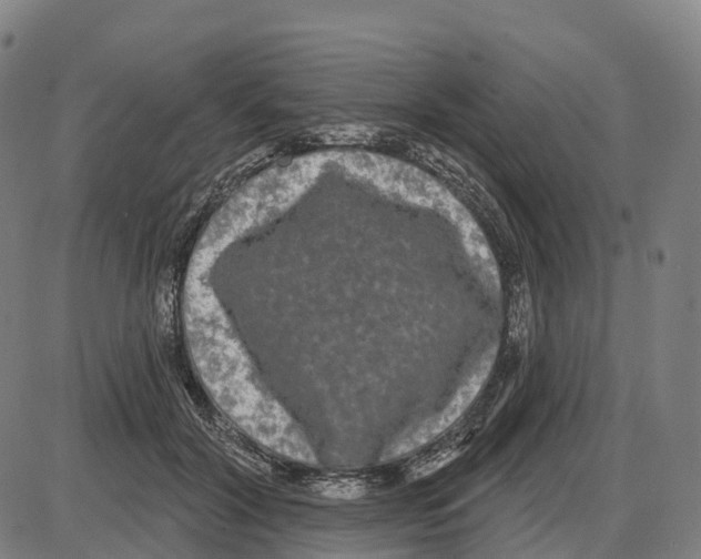 X0000083990604200703161625