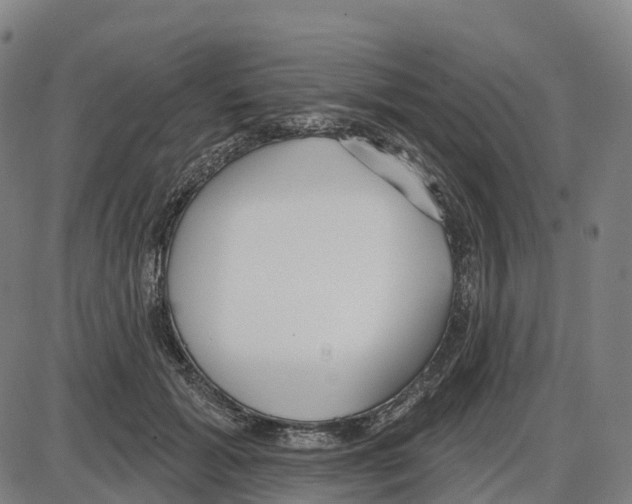 X0000083990605200703161625