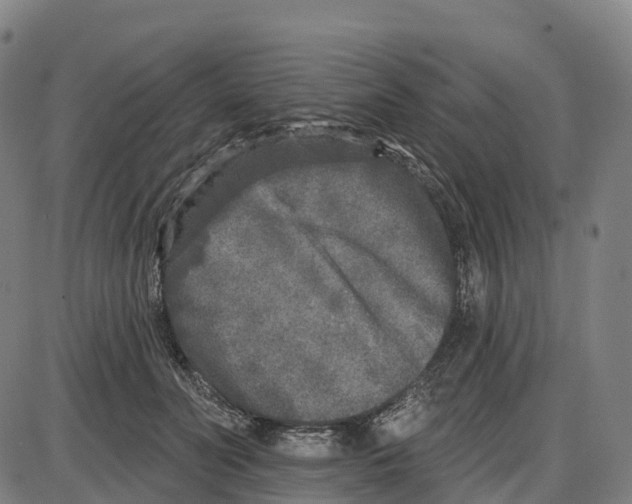 X0000083990606200703161624