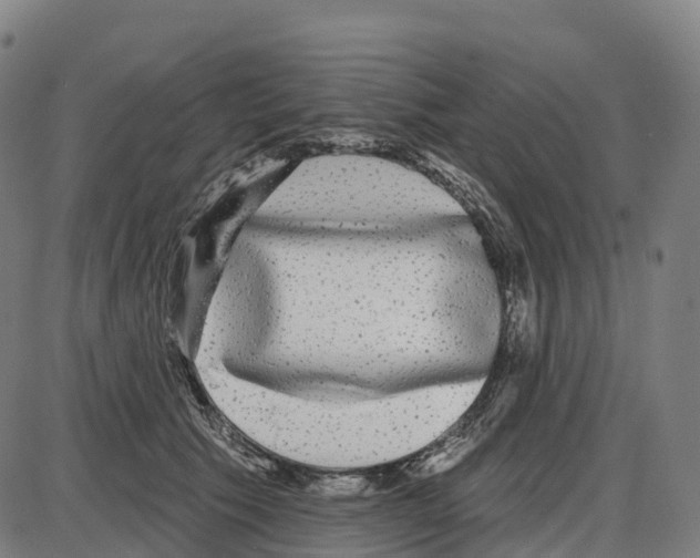 X0000083990609200703161624