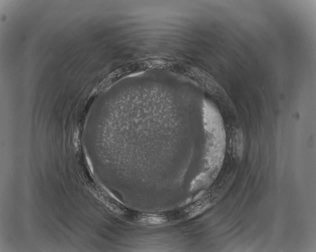 X0000083990610200703161624