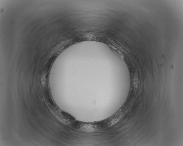 X0000083990611200703161624