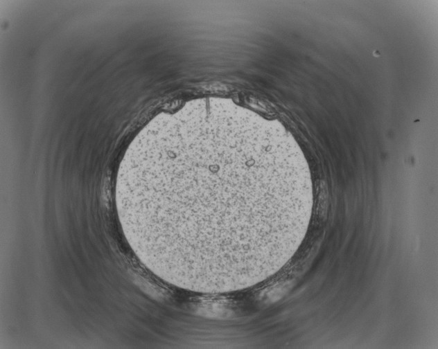 X0000083990612200703161624