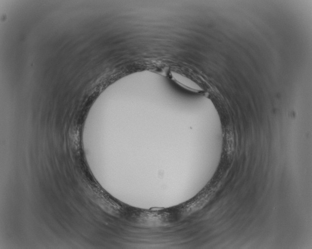 X0000083990613200703161624