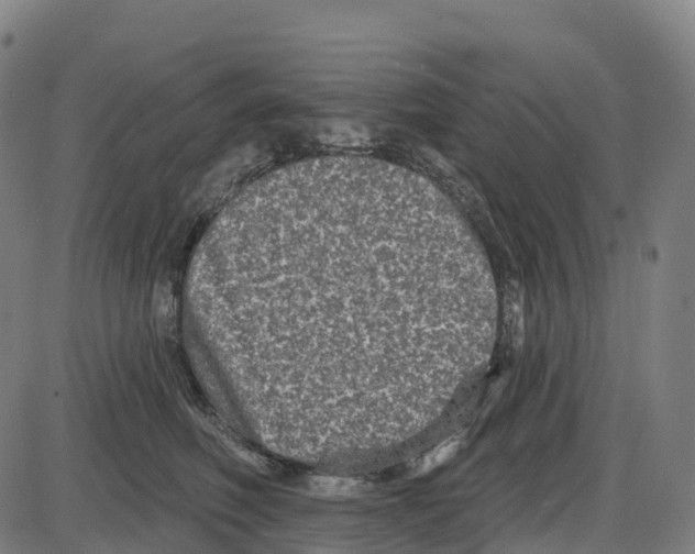 X0000083990614200703161624