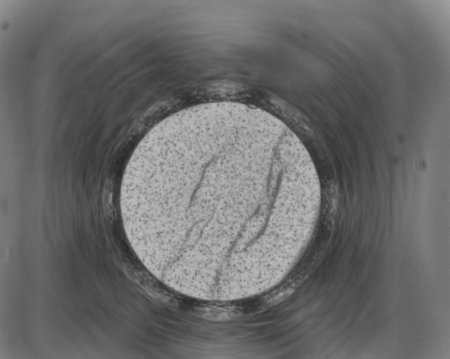 X0000083990615200703161624