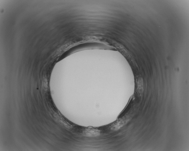 X0000083990617200703161624