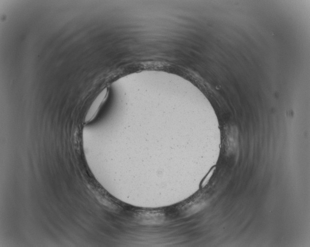 X0000083990619200703161624