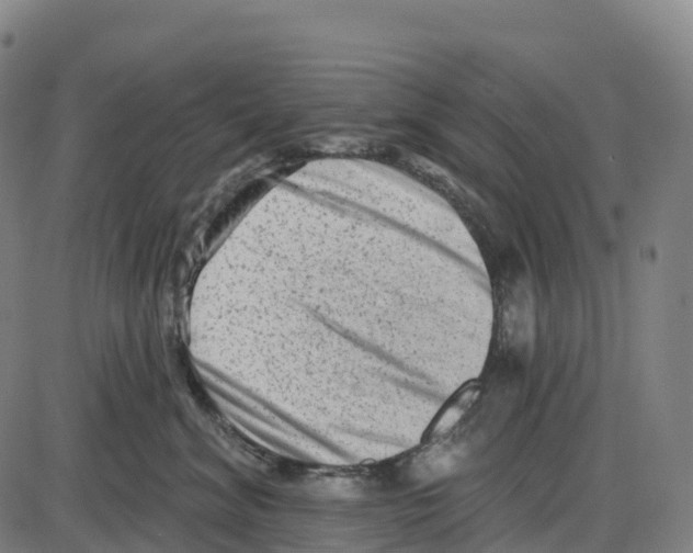 X0000083990620200703161624