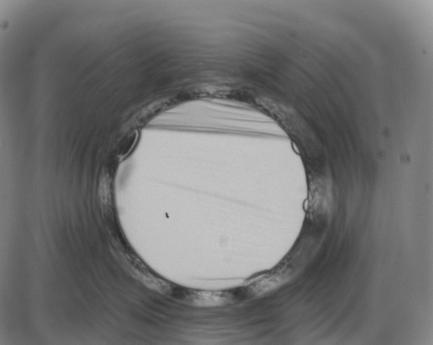 X0000083990623200703161624