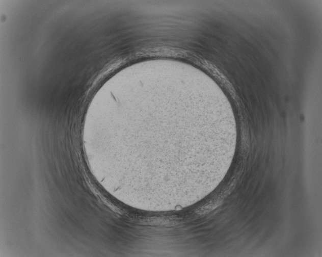 X0000083990625200703161623