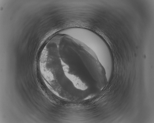 X0000083990626200703161623